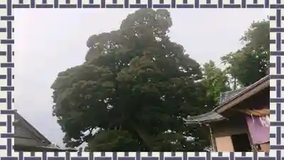 九重神社(埼玉県)