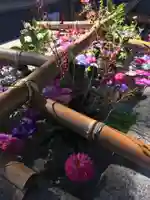 住吉神社の手水舎