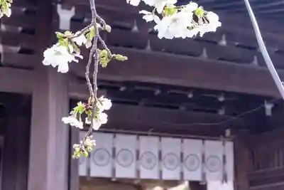 三嶋大社(静岡県)