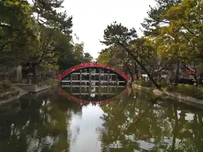 住吉大社(大阪府)