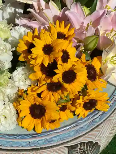 雪ケ谷八幡神社の手水舎