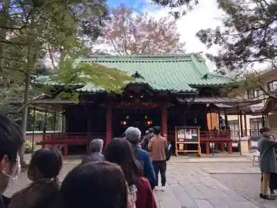 赤坂氷川神社の本殿・本堂