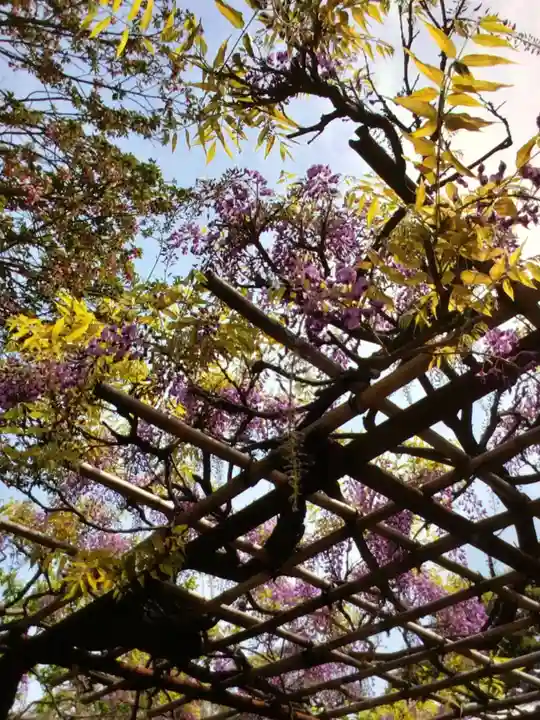 圓照寺(東京都)