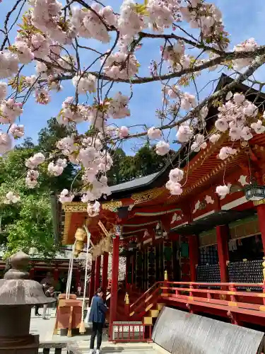 志波彦神社・鹽竈神社の{uncategorized: "未分類", other: "その他", undefined: "問題あり", building: "その他建物", grave: "お墓", sacred_gate: "鳥居", guardian: "狛犬", statue: "像", buddha: "仏像", history: "歴史", nature: "自然", garden: "庭園", animal: "動物", pagoda: "塔", temizu: "手水舎", mountain_gate: "山門・神門", sanctuary: "本殿・本堂", subordinate: "末社・摂社", art: "芸術", scenery: "景色", jizo: "地蔵", ema: "絵馬", goshuin: "御朱印", omikuji: "おみくじ", items: "授与品その他", amulet: "お守り", goshuincho: "御朱印帳", eats: "食事", festival: "お祭り", votive_dance: "神楽", shichigosan: "七五三参", wedding: "結婚式", experience: "体験その他", initially: "初詣", around: "周辺", anti_infection: "感染症対策"}