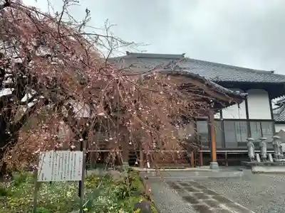 成就院の本殿・本堂