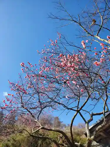 陽林寺(福島県)