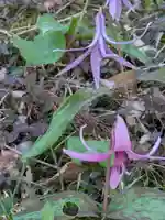 洞照寺(岐阜県)