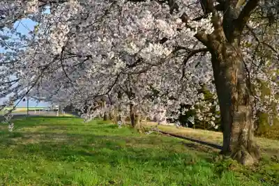 菅原神社(新潟県)