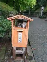 唐澤山神社の動物