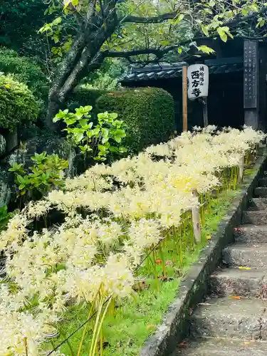 横浜　西方寺(神奈川県)
