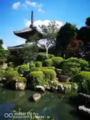 穴太寺の庭園