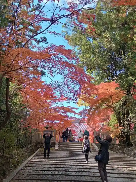 光明寺(粟生光明寺)(京都府)