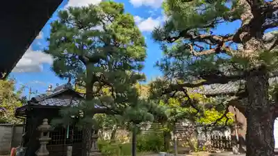 願行寺(京都府)