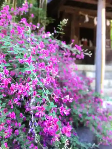 鷺宮八幡神社(東京都)