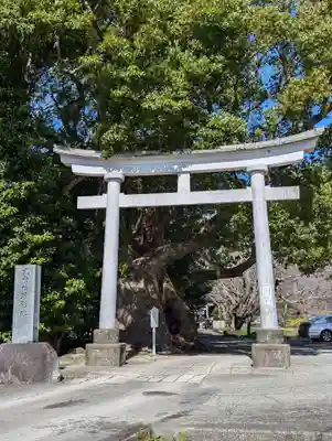 川津来宮神社(静岡県)
