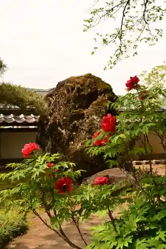 圓融寺(埼玉県)