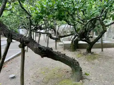 地福寺(神奈川県)