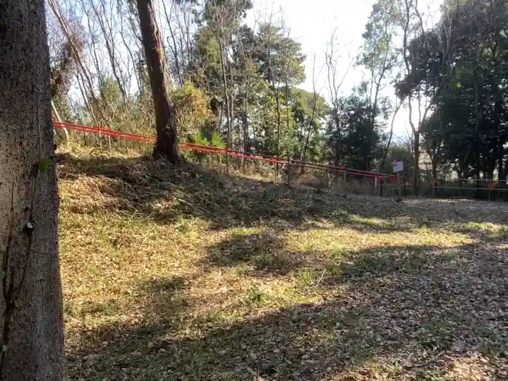 五社稲荷社の自然