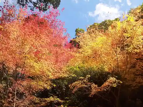 朝護孫子寺(奈良県)