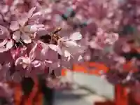 車折神社(京都府)