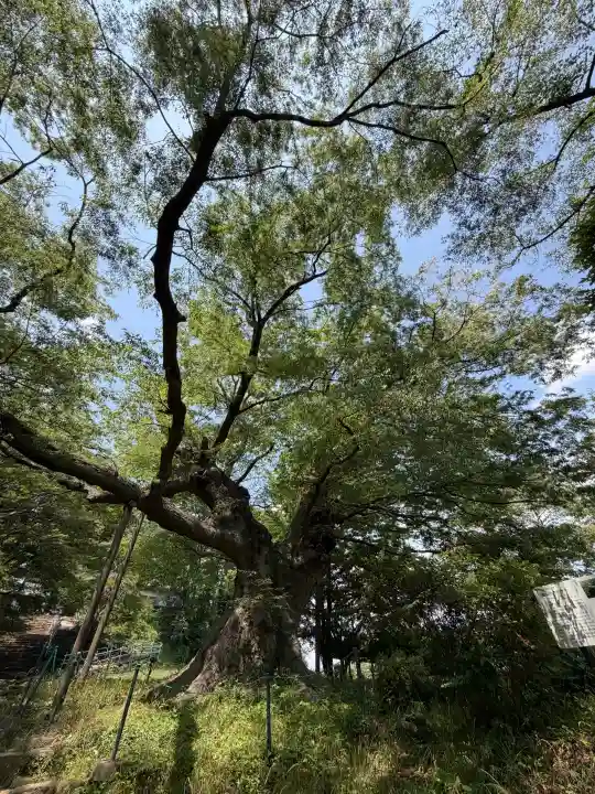 新田神社(群馬県)