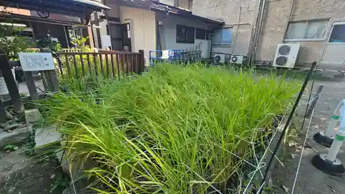 甲斐國一宮 浅間神社(山梨県)