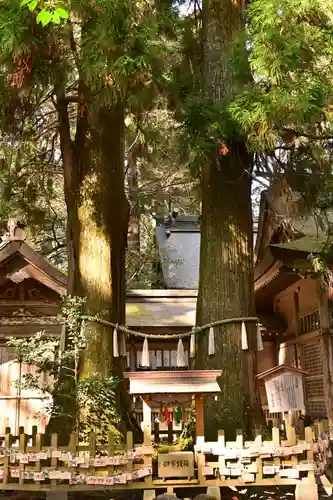 高千穂神社(宮崎県)