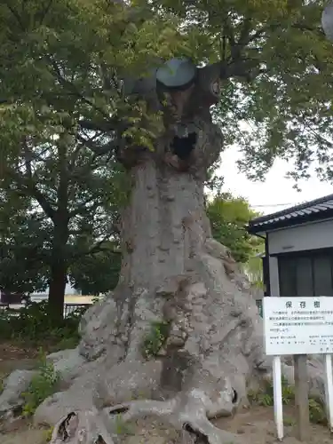 竃神社(茨城県)