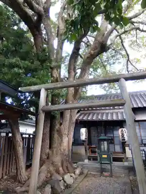 万代寺(大阪府)