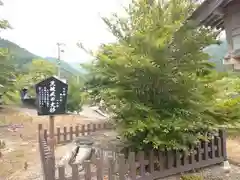 落立神社の庭園