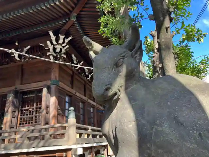 牛嶋神社の狛犬