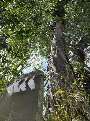 星宮神社(栃木県)