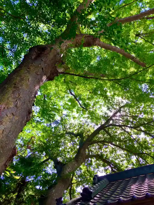 歓喜院(茨城県)