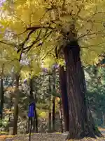 国上寺(新潟県)