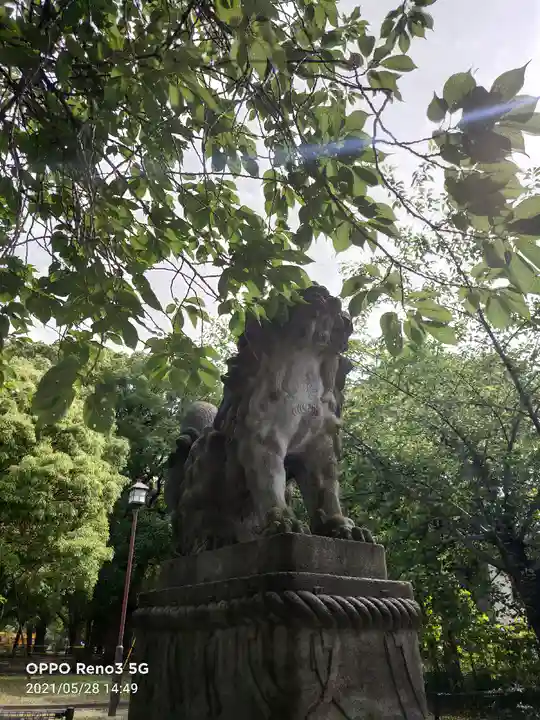 芝東照宮の狛犬