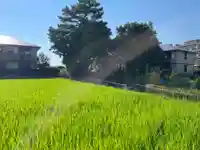 大歳神社(兵庫県)