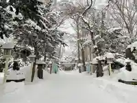 新琴似神社の景色