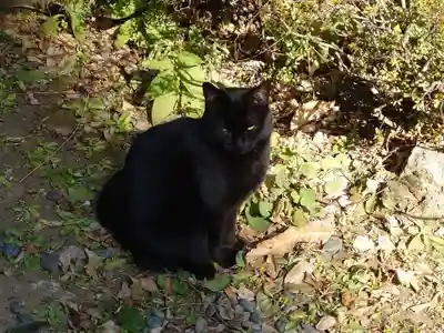 久國神社(東京都)