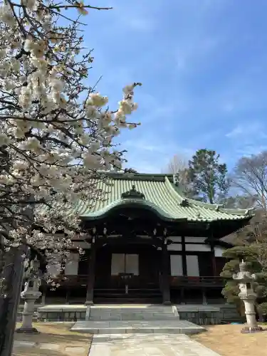 貴雲寺の{uncategorized: "未分類", other: "その他", undefined: "問題あり", building: "その他建物", grave: "お墓", sacred_gate: "鳥居", guardian: "狛犬", statue: "像", buddha: "仏像", history: "歴史", nature: "自然", garden: "庭園", animal: "動物", pagoda: "塔", temizu: "手水舎", mountain_gate: "山門・神門", sanctuary: "本殿・本堂", subordinate: "末社・摂社", art: "芸術", scenery: "景色", jizo: "地蔵", ema: "絵馬", goshuin: "御朱印", omikuji: "おみくじ", items: "授与品その他", amulet: "お守り", goshuincho: "御朱印帳", eats: "食事", festival: "お祭り", votive_dance: "神楽", shichigosan: "七五三参", wedding: "結婚式", experience: "体験その他", initially: "初詣", around: "周辺", anti_infection: "感染症対策"}