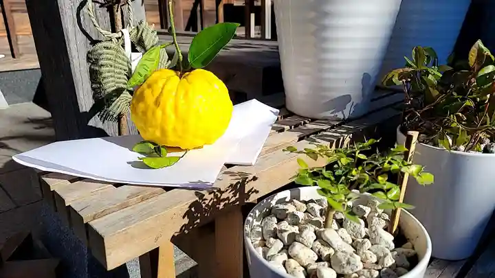 妙蓮寺(神奈川県)