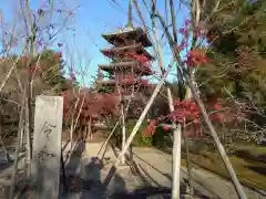 仁和寺(京都府)