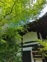 木食寺安祥院(京都府)