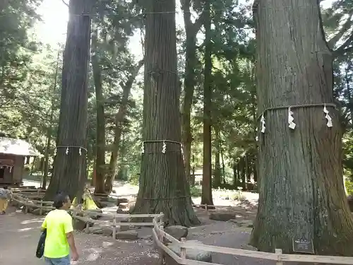 河口浅間神社(山梨県)