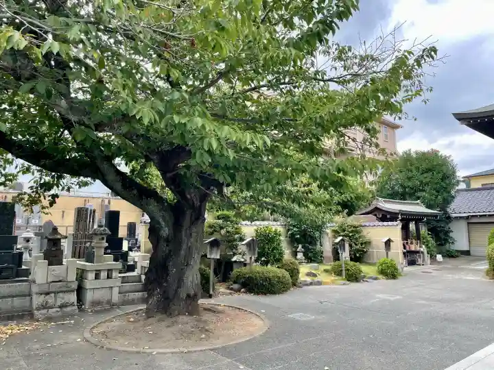 延台寺(神奈川県)