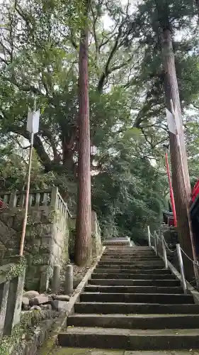 八幡朝見神社(大分県)
