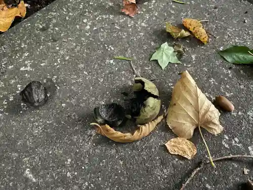 白石神社(北海道)