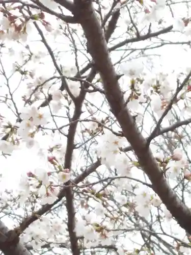 星田妙見宮(大阪府)