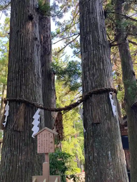 大崎八幡宮(宮城県)