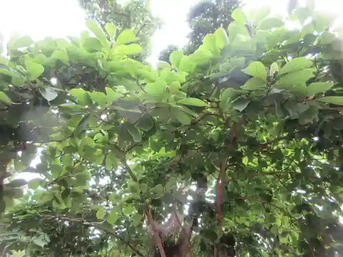 円覚寺(神奈川県)