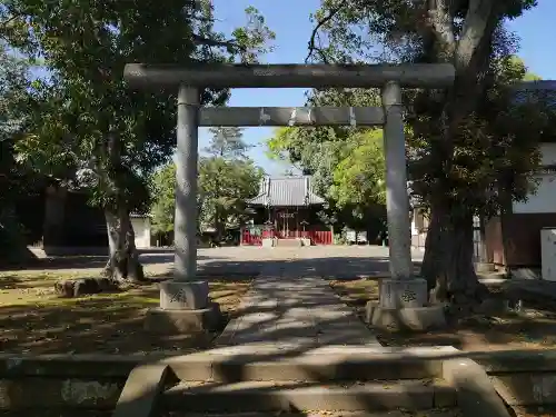 中町天祖神社の鳥居